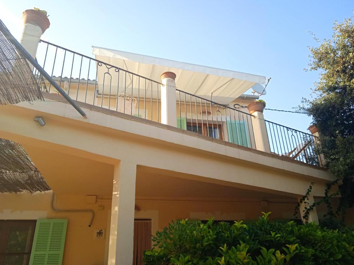 Ses Alzines Apartamento Integrado En Casa Rural Habitada 柳奇马约尔 外观 照片