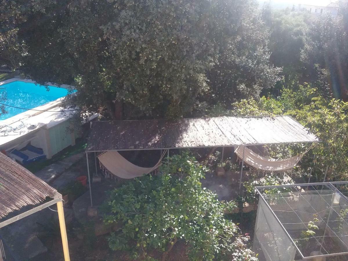 Ses Alzines Apartamento Integrado En Casa Rural Habitada 柳奇马约尔 外观 照片