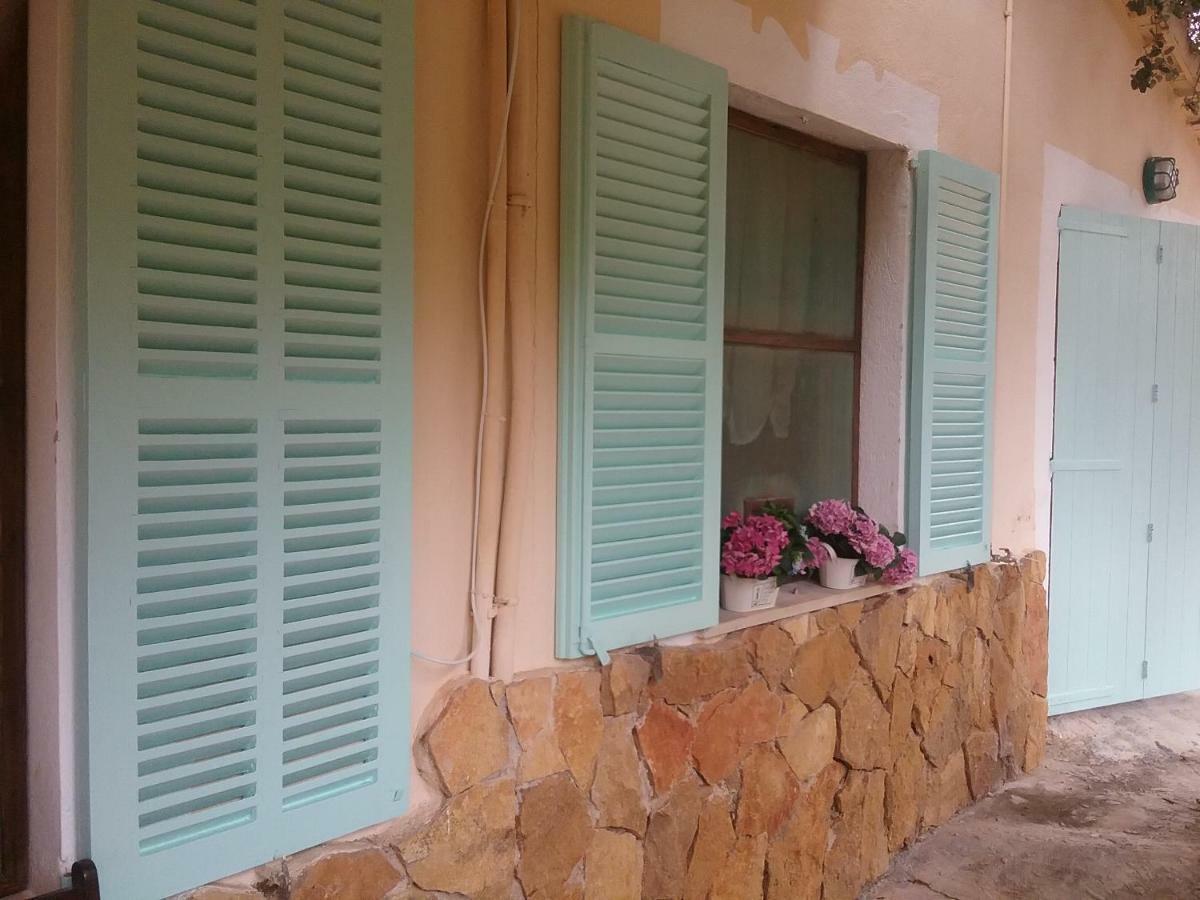 Ses Alzines Apartamento Integrado En Casa Rural Habitada 柳奇马约尔 外观 照片