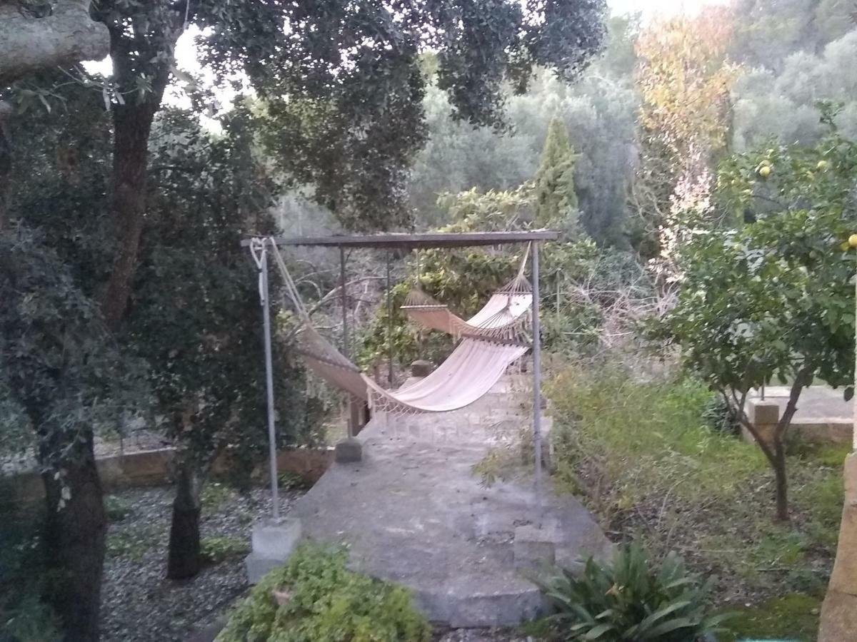 Ses Alzines Apartamento Integrado En Casa Rural Habitada 柳奇马约尔 外观 照片
